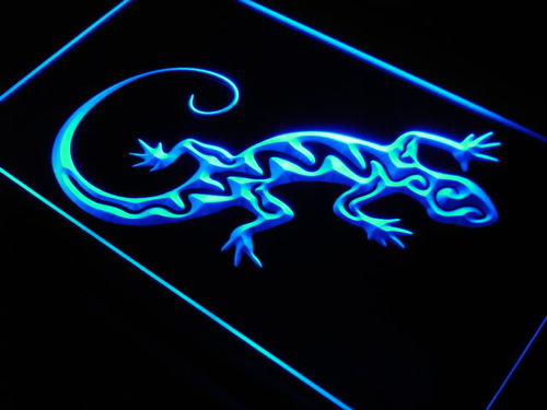 Gecko Lizard Display Window Neon Light Sign